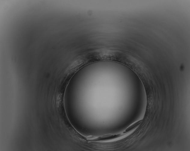 X0000097970278200804011728