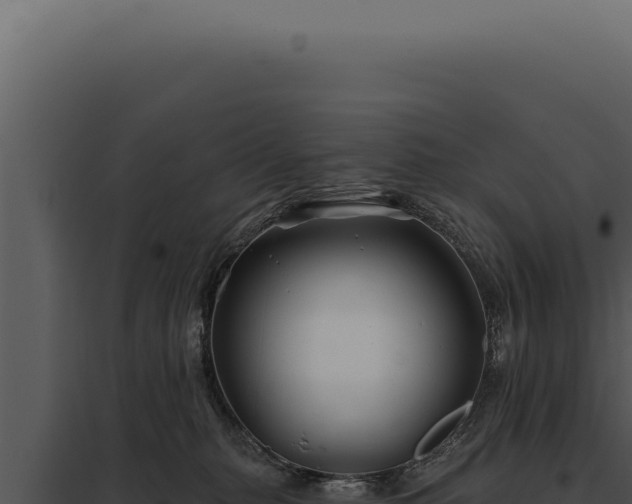 X0000097970279200804011728