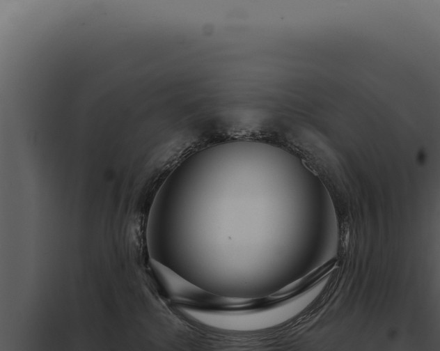 X0000097970280200804011728