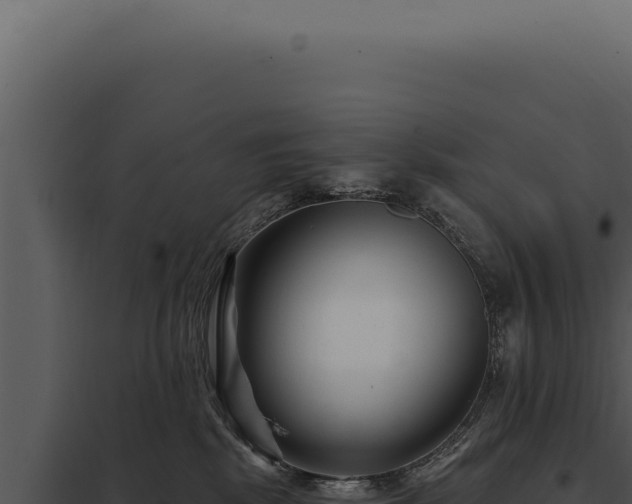 X0000097970281200804011728