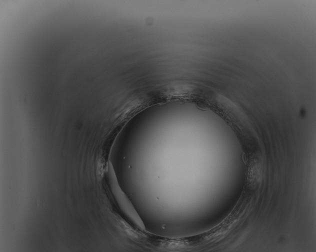 X0000097970282200804011728