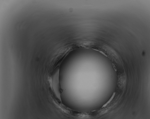 X0000097970284200804011728