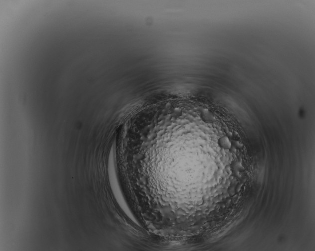 X0000097970285200804011728