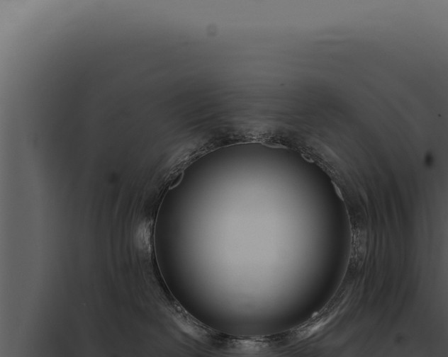 X0000097970286200804011728