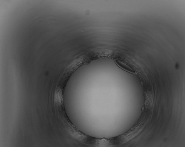 X0000097970287200804011728