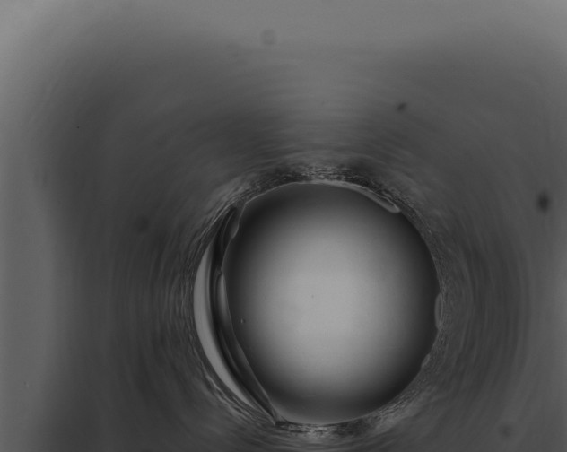 X0000097970288200804011728