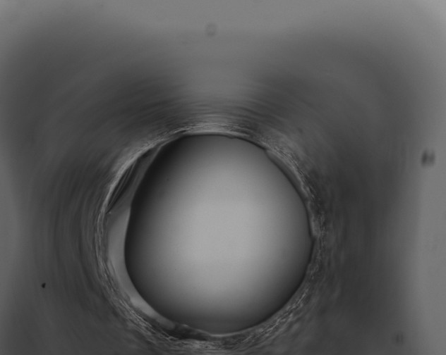 X0000097970289200804011728