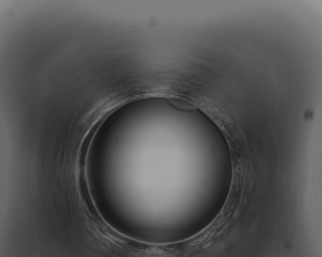 X0000097970290200804011727