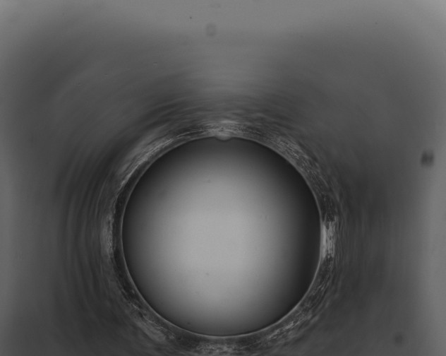 X0000097970291200804011727