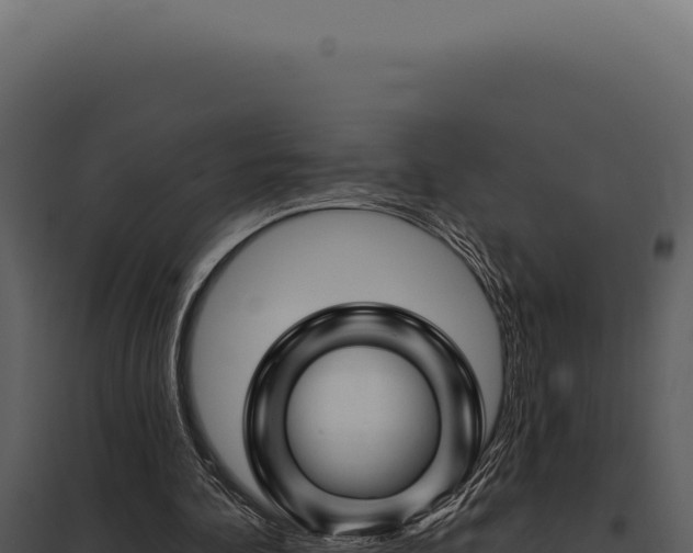 X0000097970292200804011727