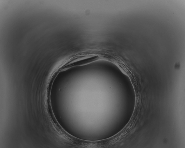 X0000097970293200804011727