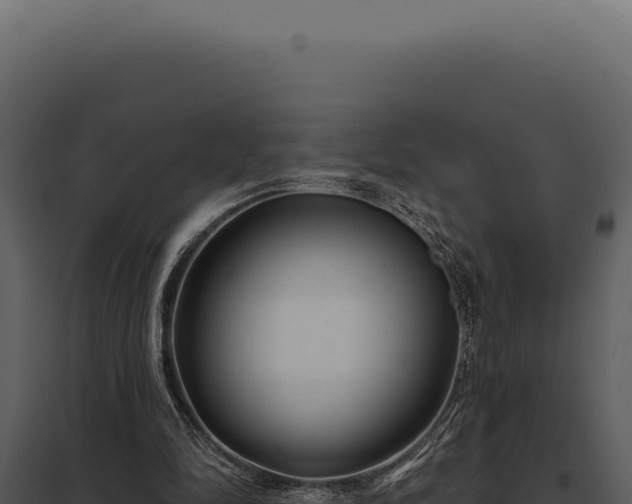 X0000097970294200804011727