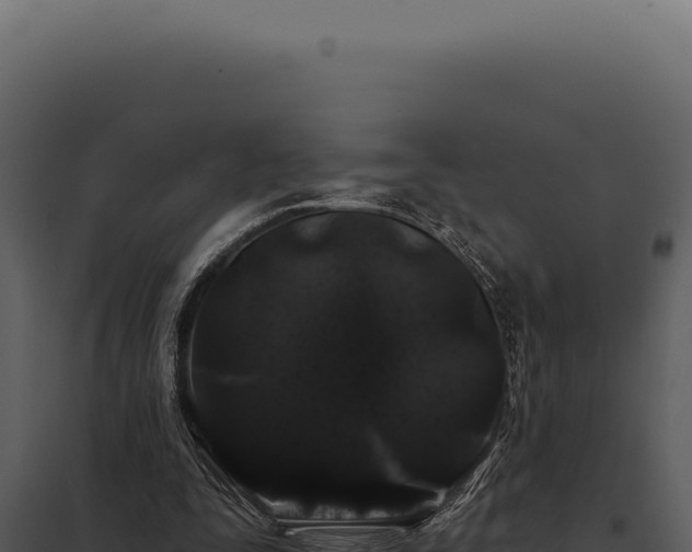 X0000097970295200804011727