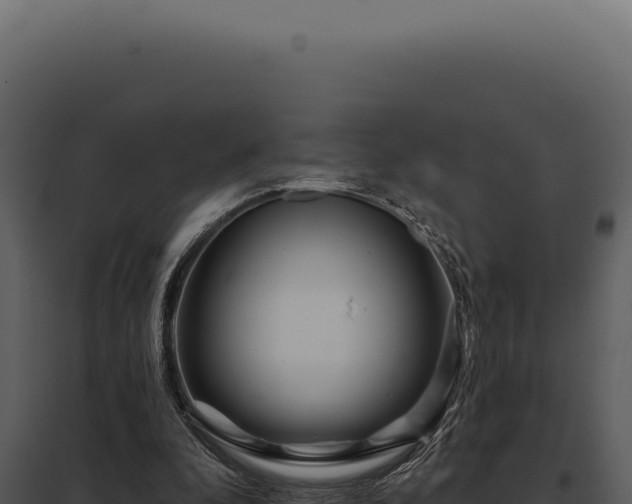 X0000097970296200804011727