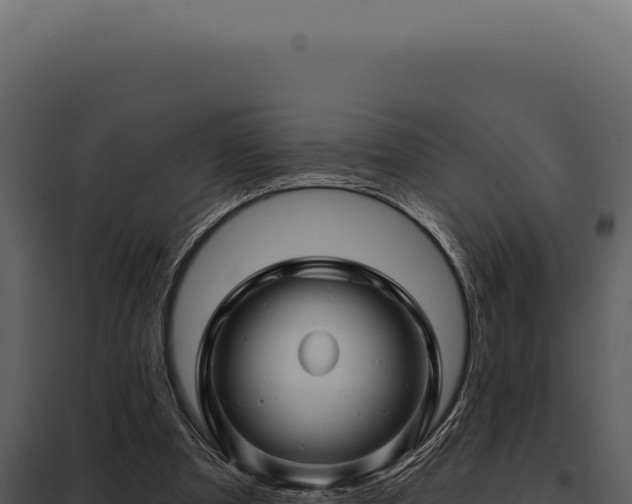 X0000097970297200804011727