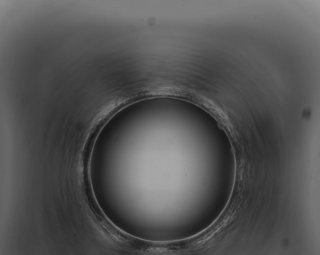 X0000097970298200804011727