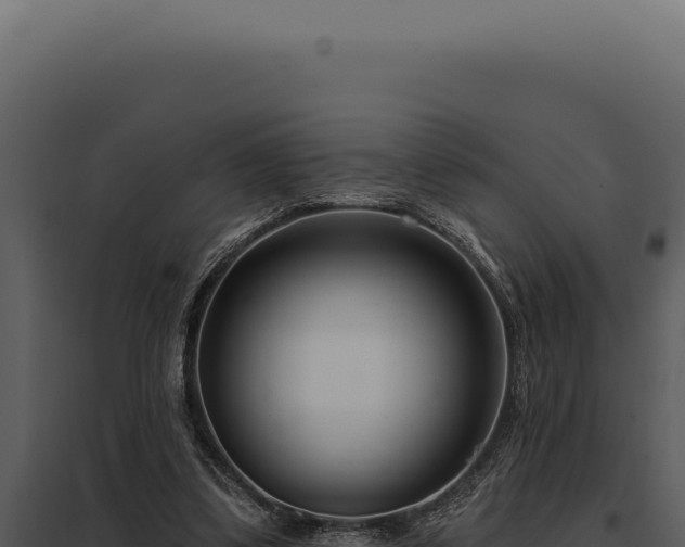 X0000097970299200804011727