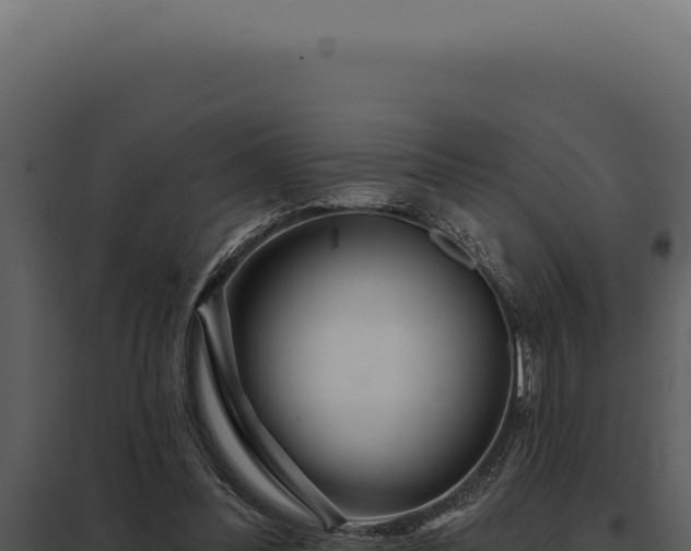 X0000097970300200804011727