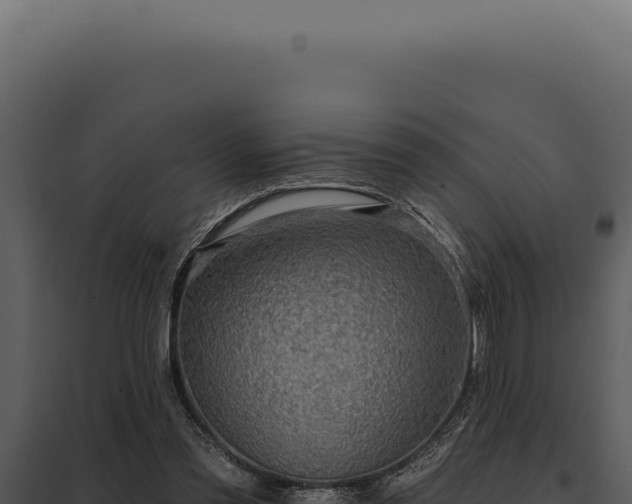 X0000097970301200804011727