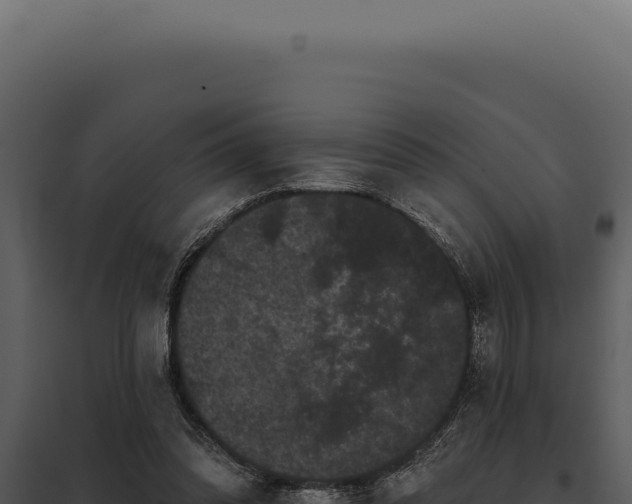 X0000097970302200804011727