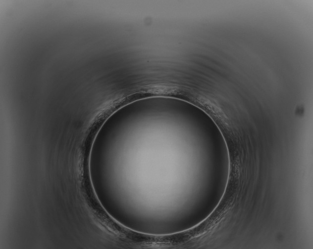 X0000097970303200804011727