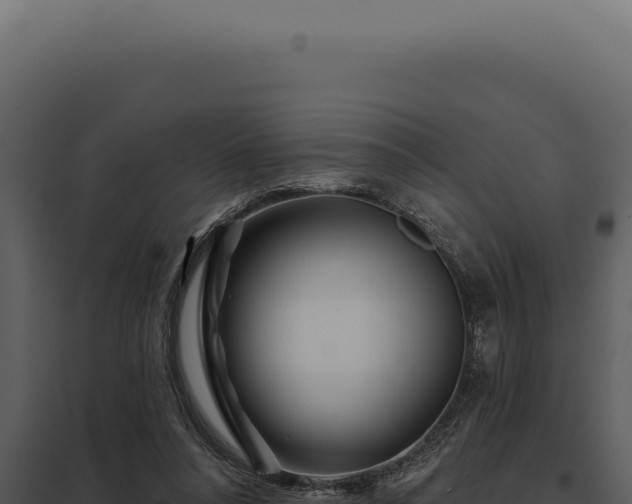 X0000097970304200804011727