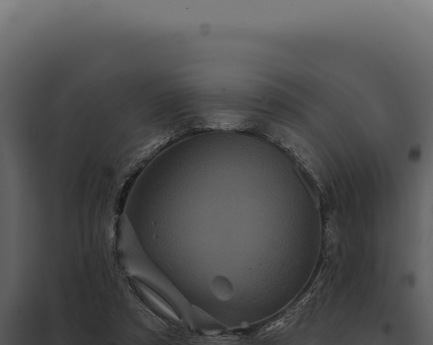 X0000097970305200804011727