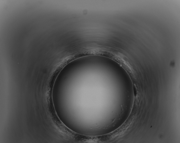 X0000097970306200804011727