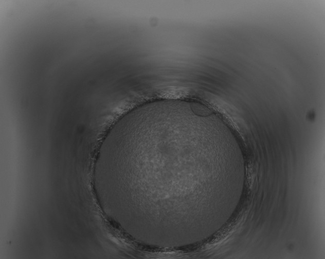 X0000097970307200804011727