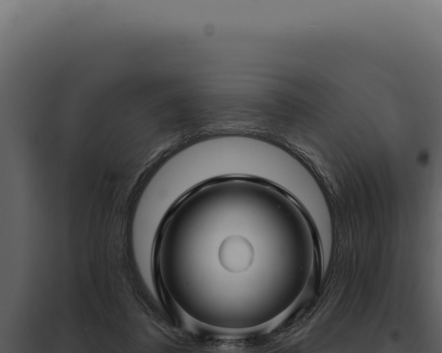 X0000097970308200804011727