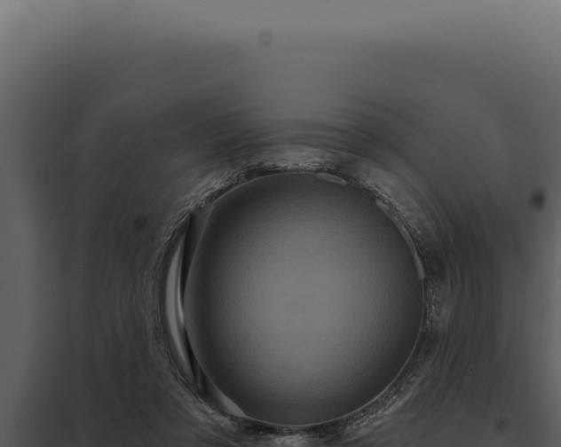 X0000097970309200804011727