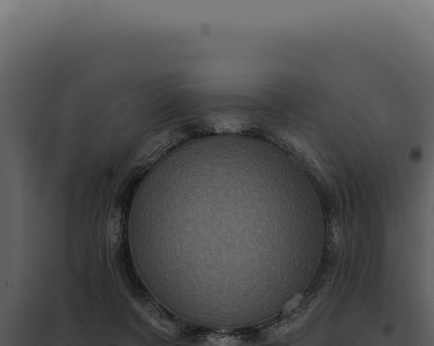 X0000097970311200804011727