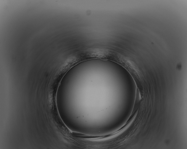 X0000097970312200804011727