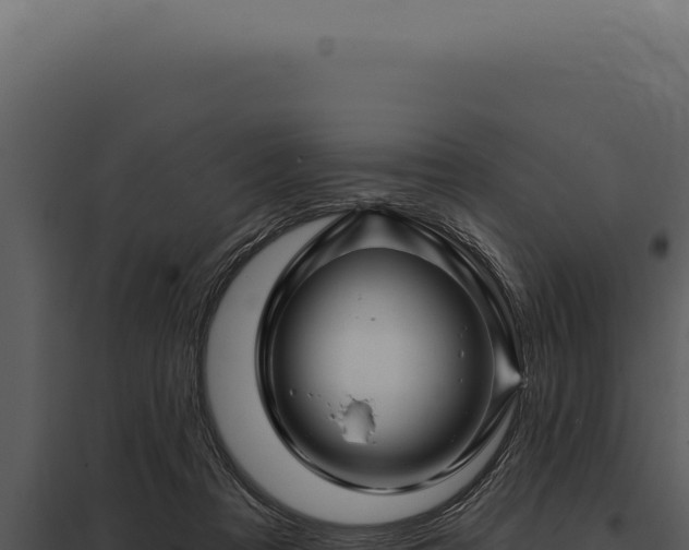 X0000097970313200804011727