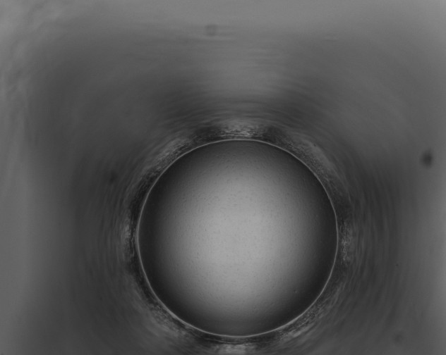 X0000097970314200804011727