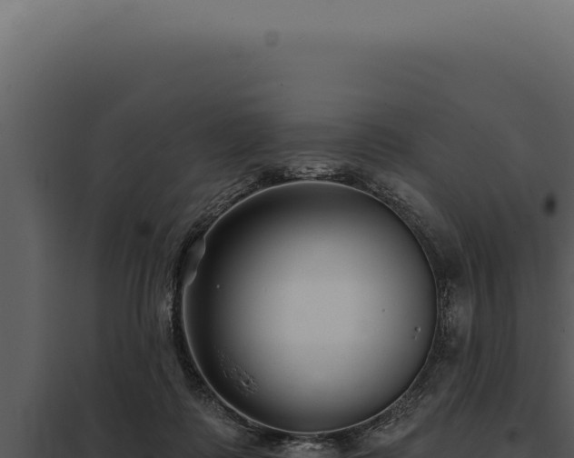 X0000097970315200804011727