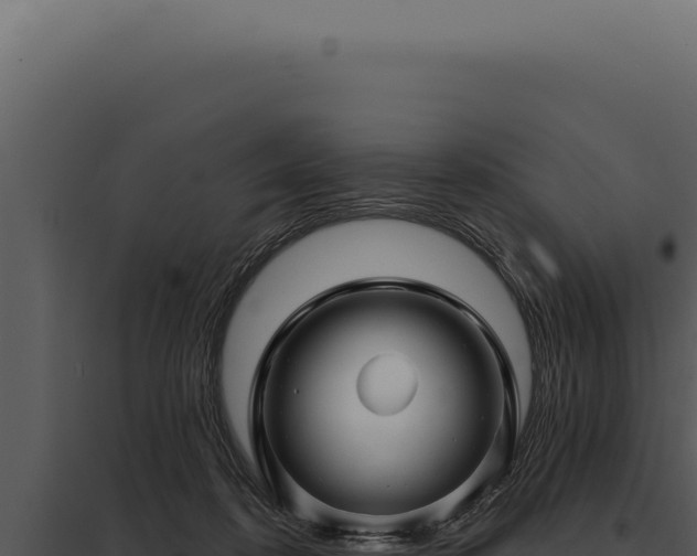 X0000097970316200804011727