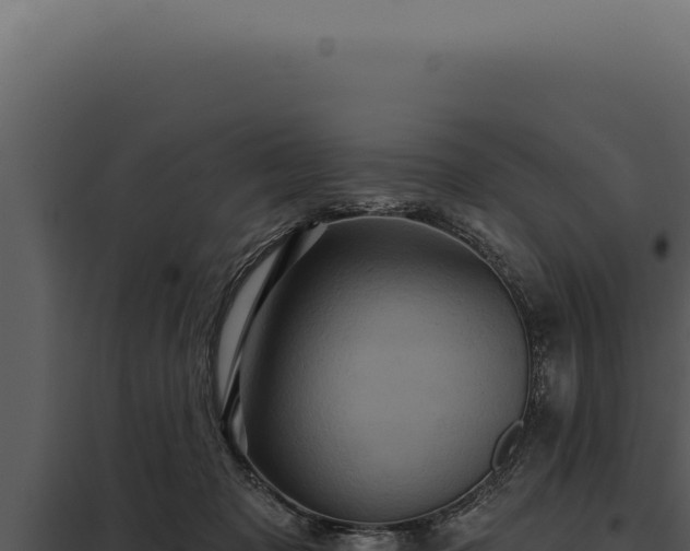 X0000097970317200804011727