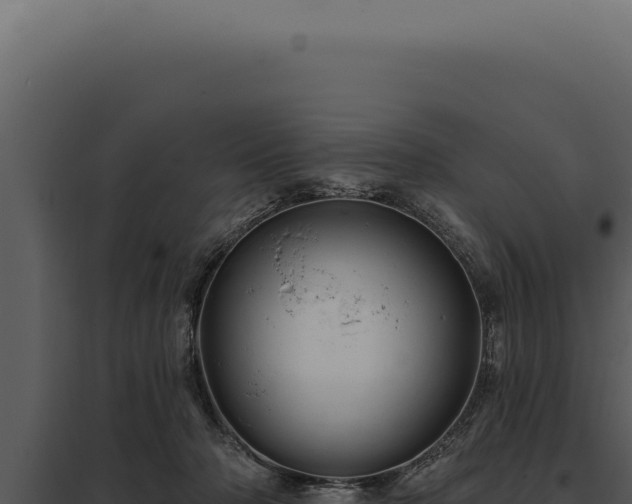 X0000097970318200804011727