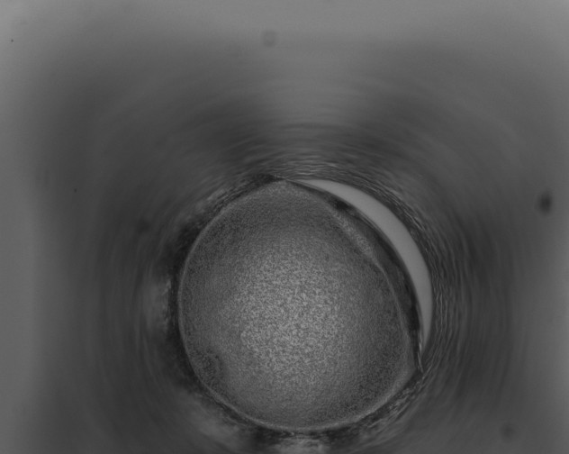 X0000097970319200804011727