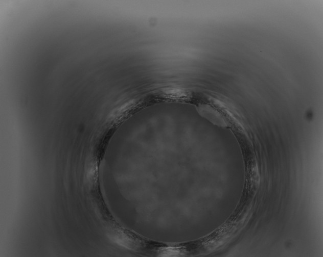 X0000097970320200804011727