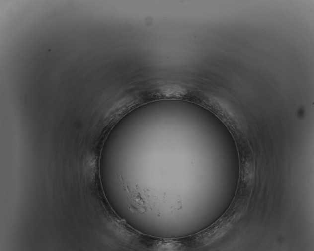 X0000097970321200804011727