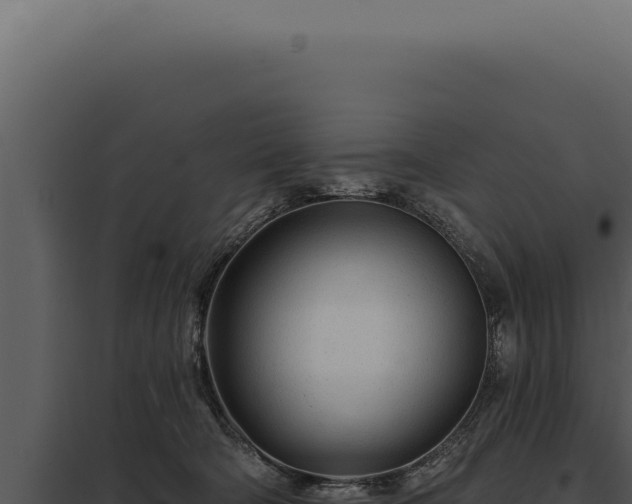 X0000097970322200804011727