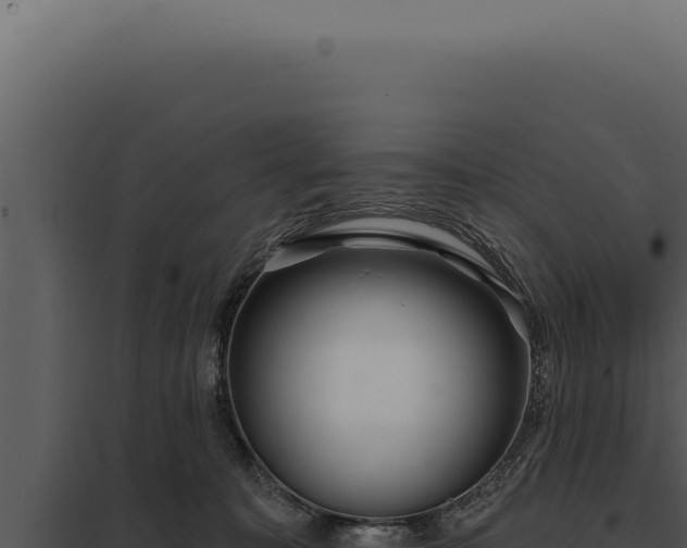 X0000097970323200804011727