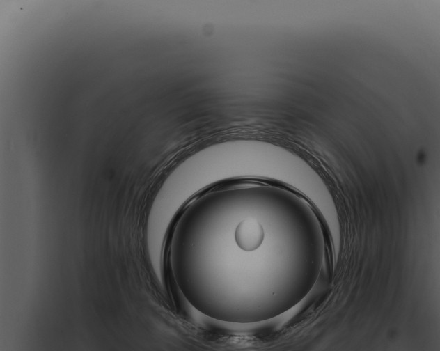 X0000097970324200804011727