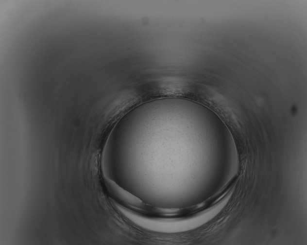 X0000097970325200804011727