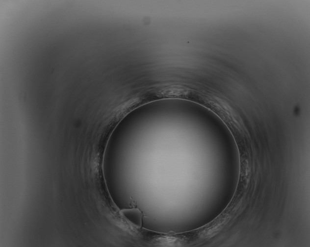 X0000097970326200804011727