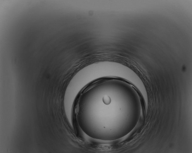 X0000097970328200804011727