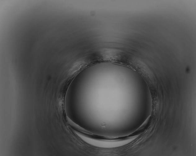 X0000097970329200804011727