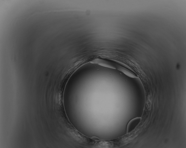 X0000097970330200804011727